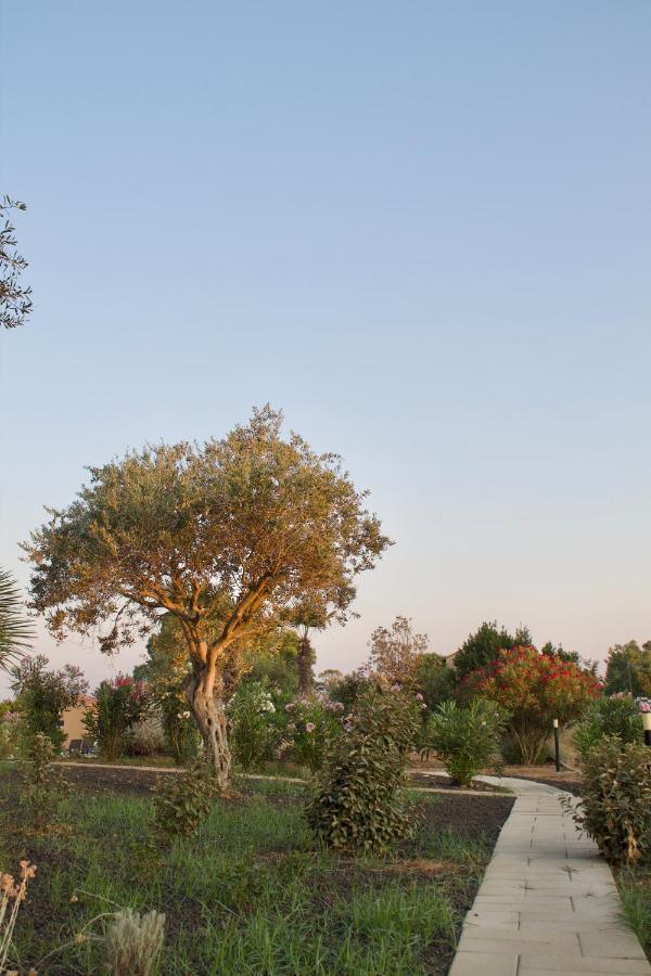 אלגהרו Maris Apartments & Bedrooms מראה חיצוני תמונה